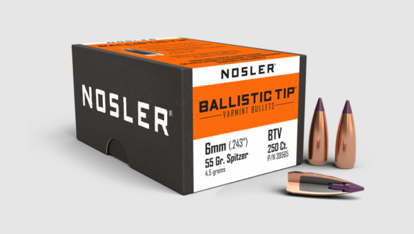 Nosler 6mm Varmin Tip 55gr (100)