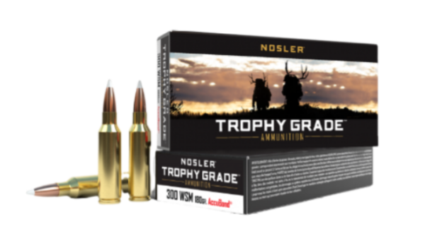 Nosler Ammo 300 Wsm 180gr Tg Accu (20)