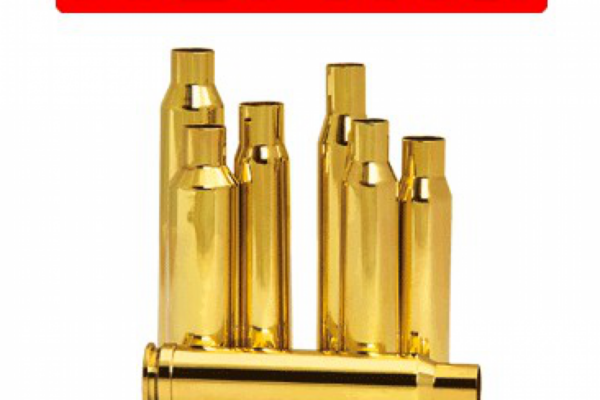 Norma Case 338 Win Mag (50)