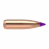 Nosler p 6mm 80gr balistic tip 100