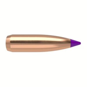 Nosler p 6mm 80gr balistic tip 100