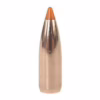 Nosler p 224 55gr ballistic tip (100)