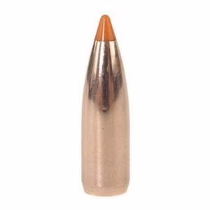 Nosler p 224 55gr ballistic tip (100)