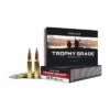 Nosler amm 308 win 168gr tg accu (20)