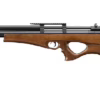 Artemis air rifle p10 5.5