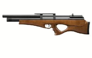 Artemis air rifle p10 5.5