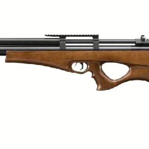 Artemis air rifle p10 5.5