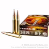 Federal amm 30-06 165gr fusion (20)