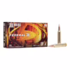 Federal amm 300 wm 150gr fusion (20)