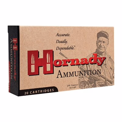 Hornady amm 300 wby 180gr sp custom