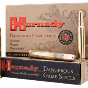 Hornady amm 416 ruger 400gr dgx-b