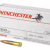 Win amm 300blk 125gr fmj (20)