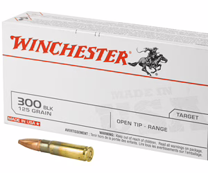 Win amm 300blk 125gr fmj (20)