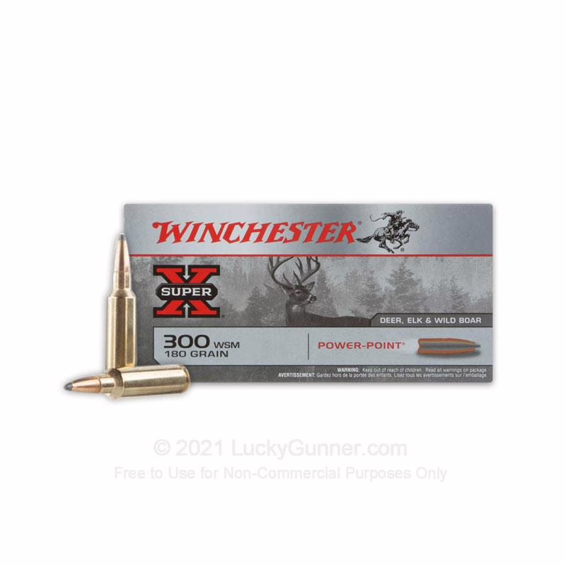Win amm 300wsm 180gr powerpoint (20)