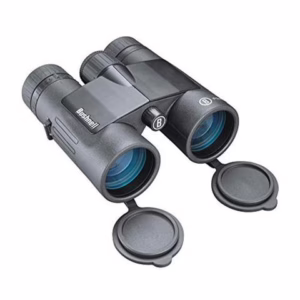 Bushnell bino 10x42 prime blk roof