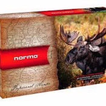 Norma amm 458 wm 500gr swift a-frame (10)