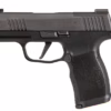 Sig Sauer Pistol P365x 9mm Ms Xray3