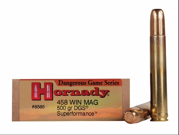 Hornady bul 366 300gr dgs