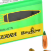 Sierra 22 55gr bk (100)