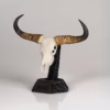 Skullie Banteng